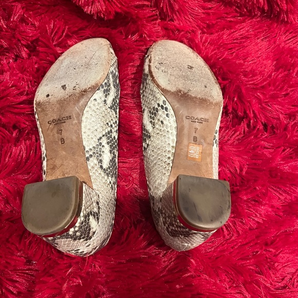 Women’s snake design shoes size 7 - Picture 5 of 9